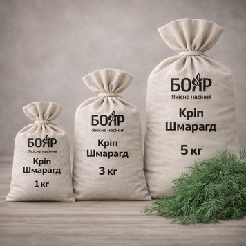 Насіння кропу Шмарагд 1 кг 7082945a-44e5-449d-b8fa-a99fde7ecfdf фото