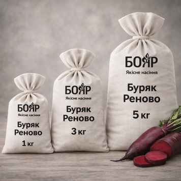 Насіння буряка Реново Циліндр 1 кг 23f99601-6292-488a-ae35-4271e4f77f86 фото