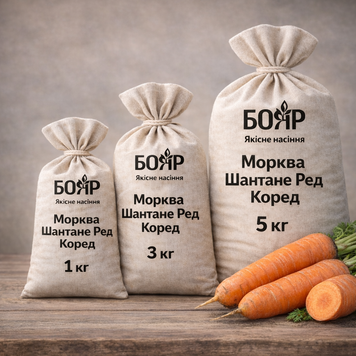 Насіння моркви Шантане Ред Коред 1 кг 70485e68-2056-43a0-9cec-6c9aec5d0a64 фото