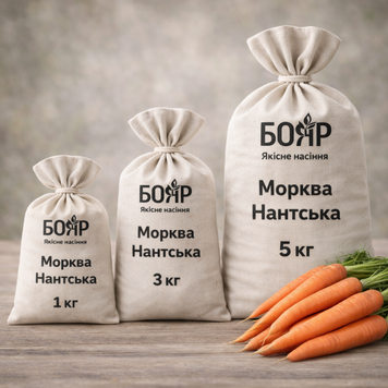 Насіння моркви Нантська 1 кг bb3a4895-2b98-4c5b-8849-da754dcaa228 фото