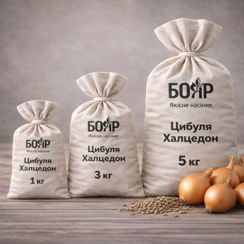 Насіння цибулі Халцедон 1 кг 44a0c877-7413-4b15-839f-6b90c799f15a фото