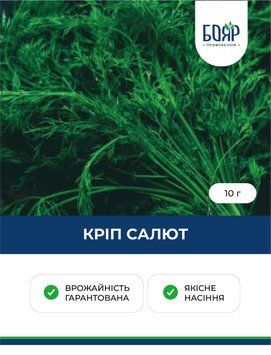 Насіння кропу Салют 10 г 58c47bd7-8503-498c-bb20-acc36db085c5 фото