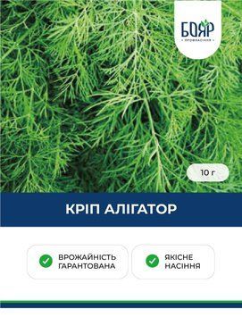 Насіння кропу Алігатор 10 г 09dd90a9-aa0b-472c-b390-8ac37bbb7095 фото