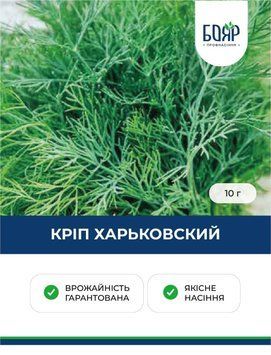 Насіння кропу Харківський 10 г 64f9cca5-ab6c-49af-b67e-9dabf1051ef9 фото