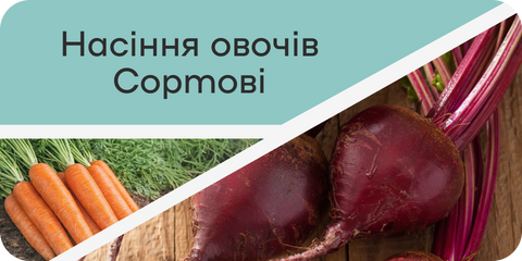 Banner from design
