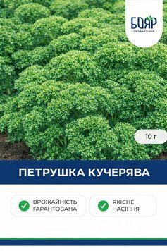 Насіння петрушки Кучерява 50 г petrushka-kucheriava-50g фото
