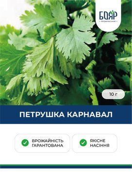 Насіння петрушки Карнавал 10 г a37d13cf-0715-4095-936f-9bf2548dd089 фото