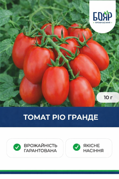 Насіння томатів Ріо Гранде 10 г ab3e9cdb-0707-4720-a3df-22d8c103fc46 фото